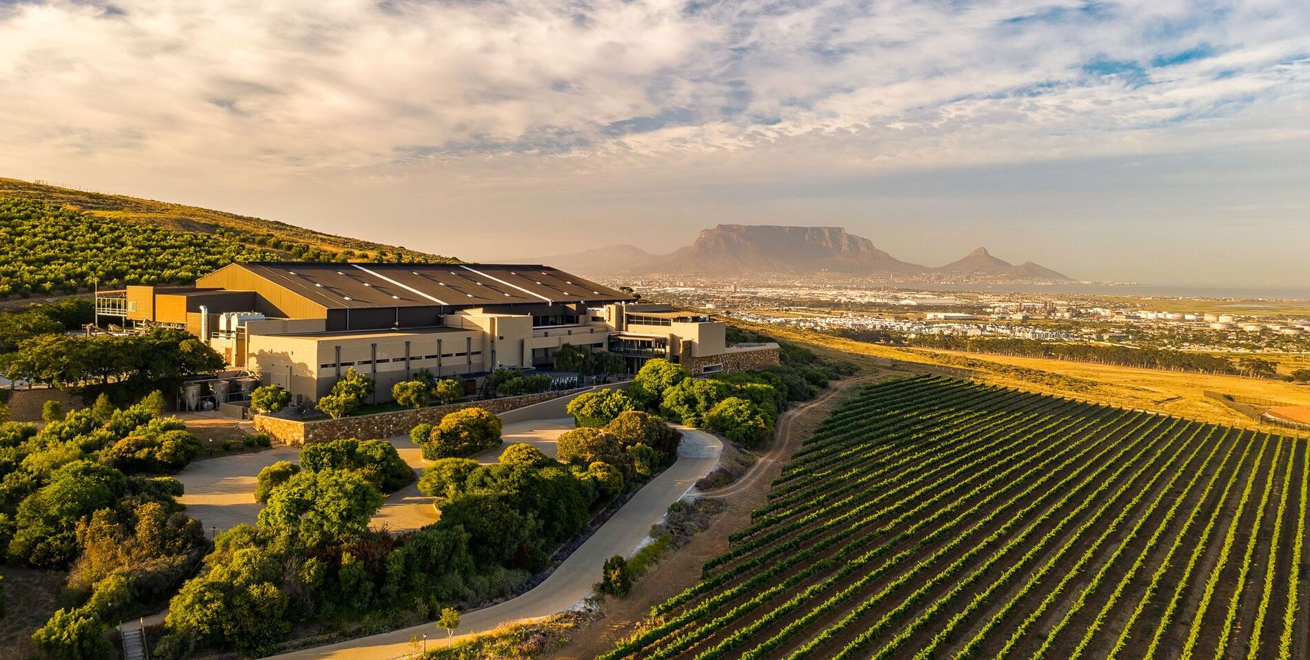 Durbanville Hills Winery: Anticipating Excellence in Upcoming VintagesWine