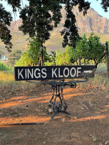 Kings Kloof Vineyards