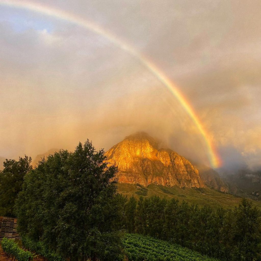 Rainbow’s End Wine Estate