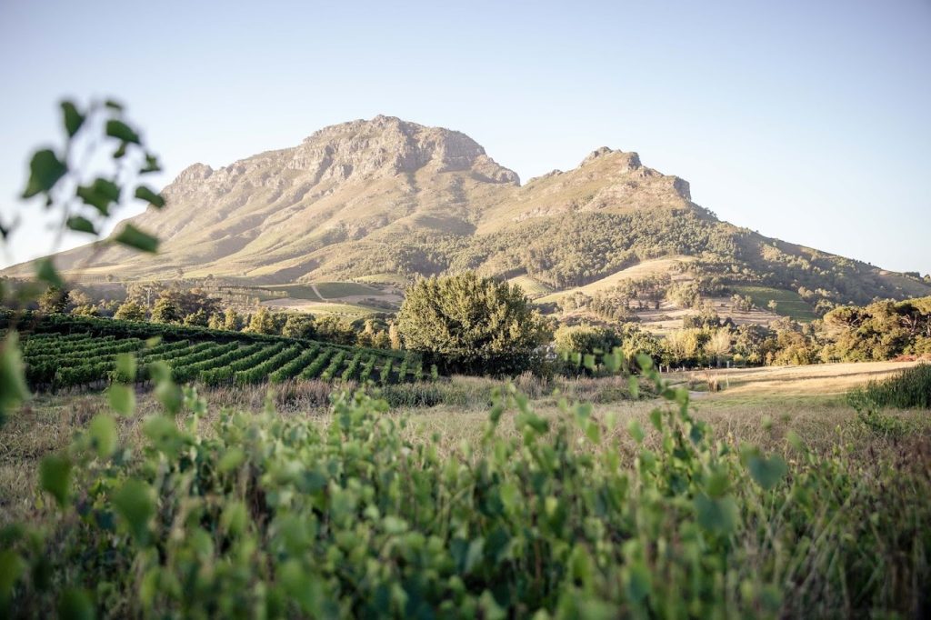 Le Pommier Wine Estate