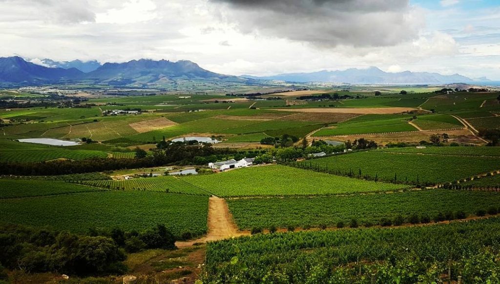 DeMorgenzon Stellenbosch