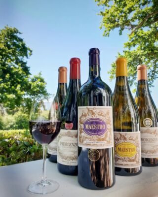 DeMorgenzon Stellenbosch