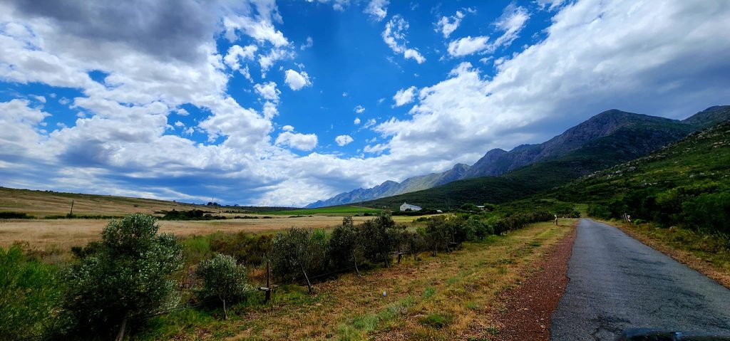 Waverley Hill Organic Wines & Olive Estate