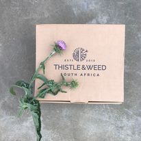 Thistle and Weed