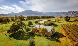 Saronsberg Wine Cellar