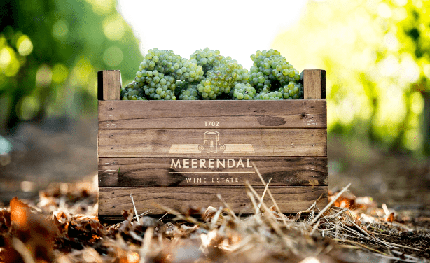 Meerendal Wine Estate