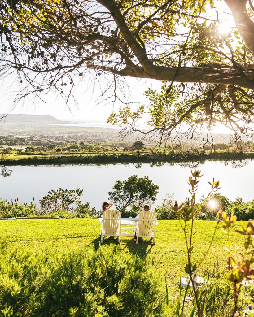 Cape Point Vineyards