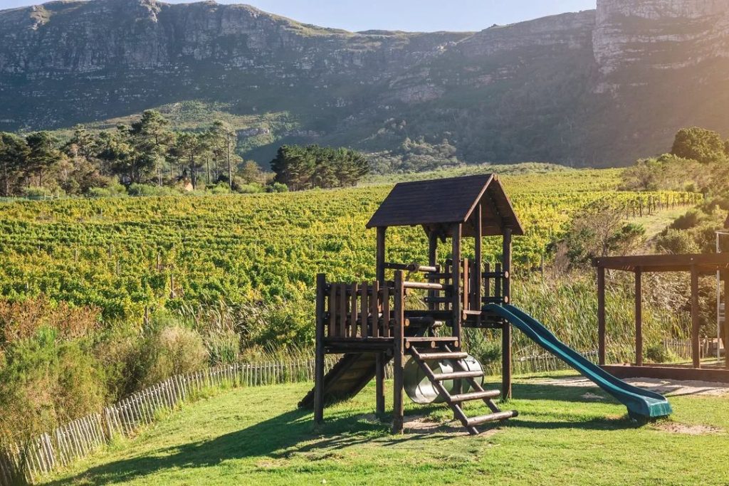 Cape Point Vineyards