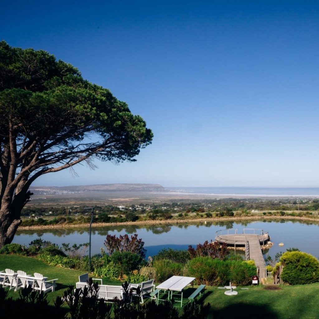 Cape Point Vineyards