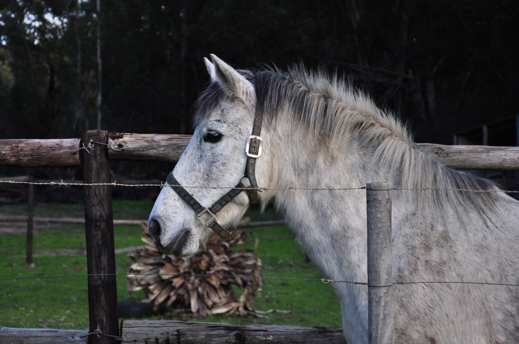 Mooiplaas Wine Estate and Private Nature Reserve