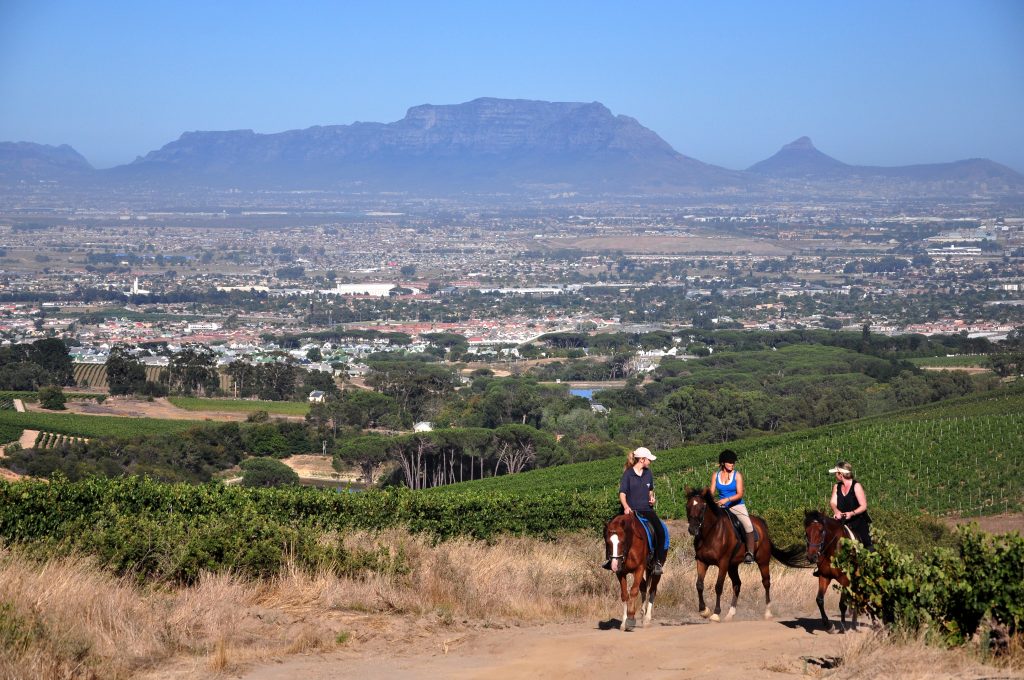 Mooiplaas Wine Estate and Private Nature Reserve