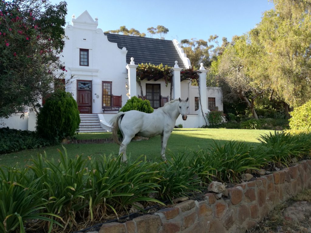 Mooiplaas Wine Estate and Private Nature Reserve