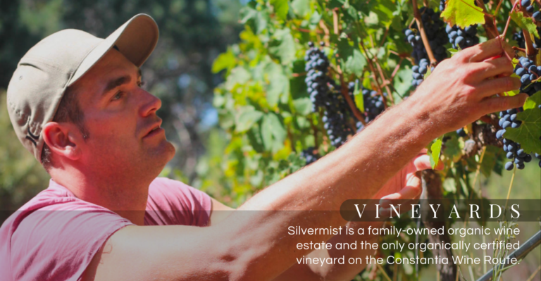 Silvermist Organic Wine Estate