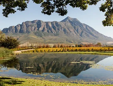 Saronsberg Wine Cellar