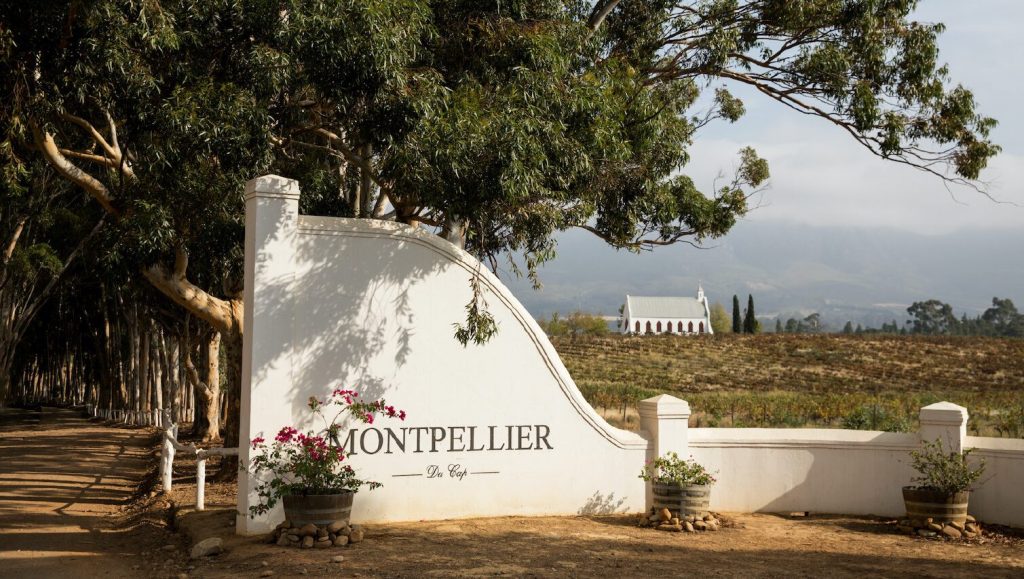 Montpellier Wine Estate