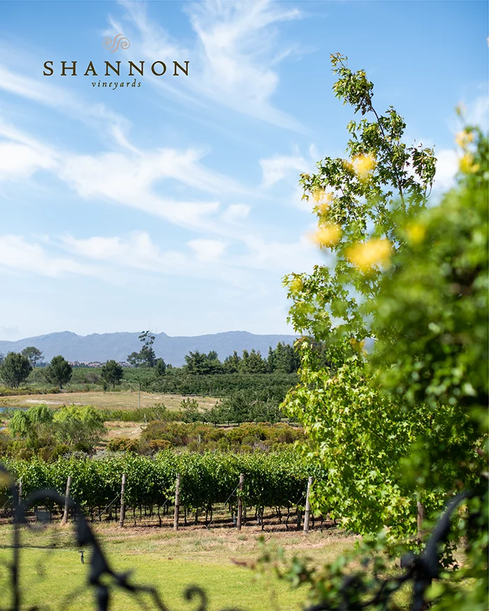 Shannon Vineyards & Wines