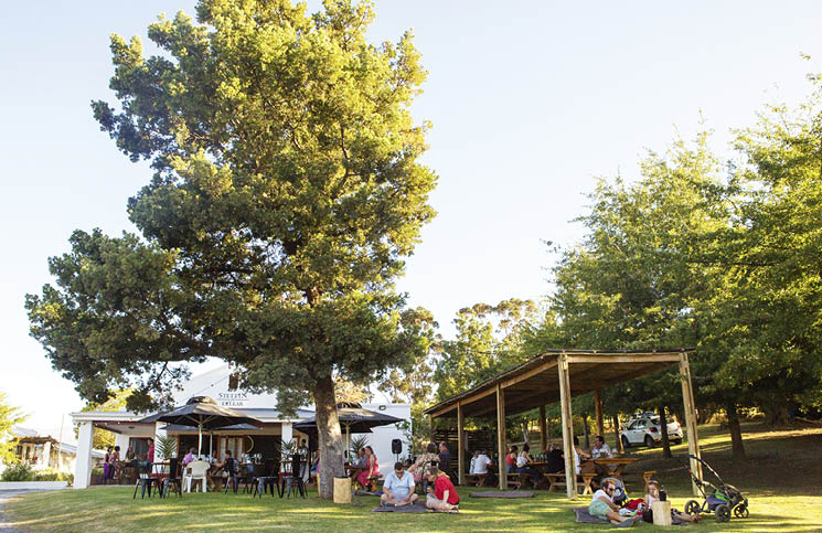 Stettyn Family Vineyards