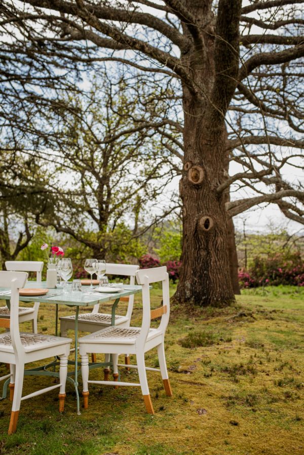 The Table at oak valley