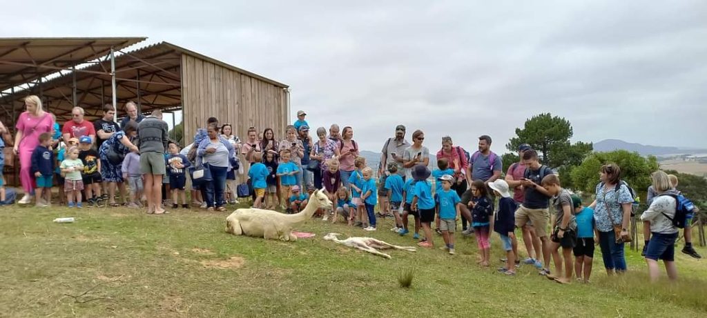 The Alpaca Loom Coffee Shop and Weaving Studio