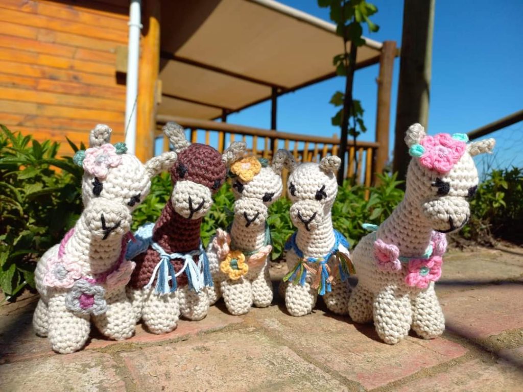 The Alpaca Loom Coffee Shop and Weaving Studio