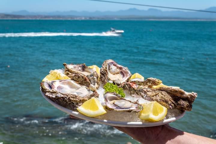 Mosselbay OysterBar