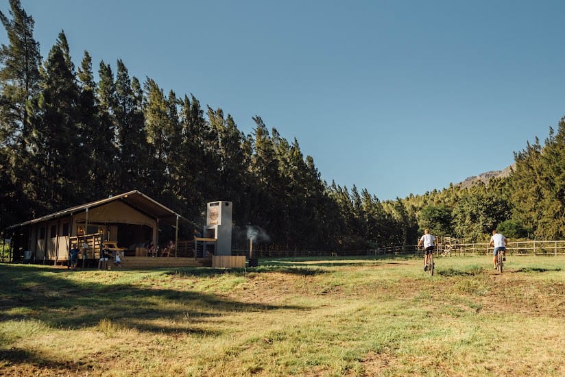 Africamps at Doolhof Wine Estate