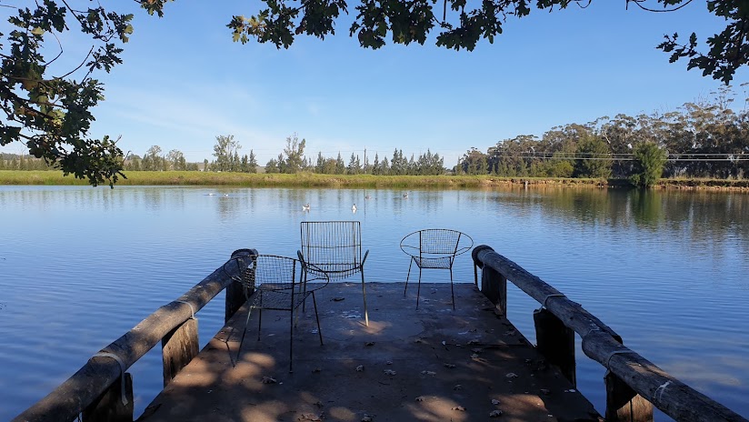 Bontebok Rige Reserve