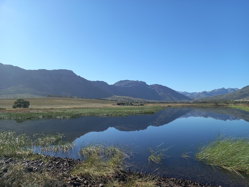 Bontebok Rige Reserve