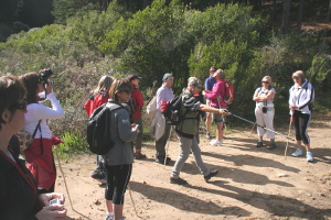 Wellington Wine Walk