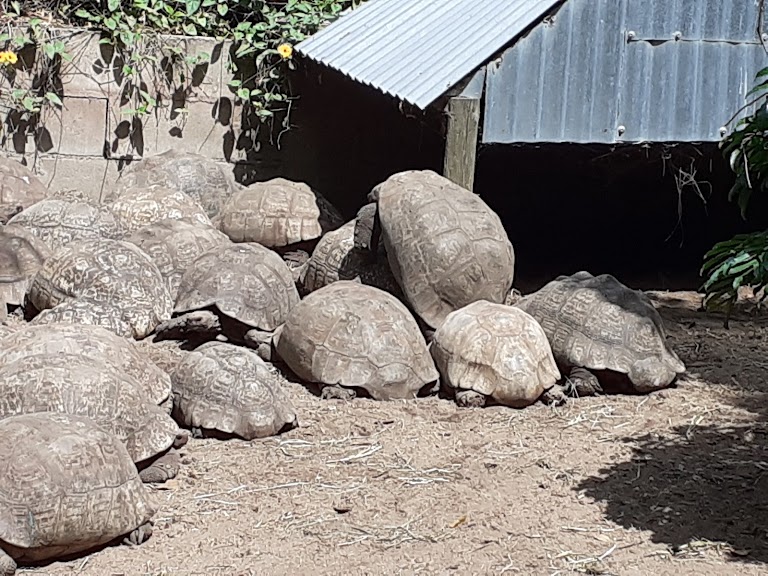 The Animal Sanctuary@ Butterfly World