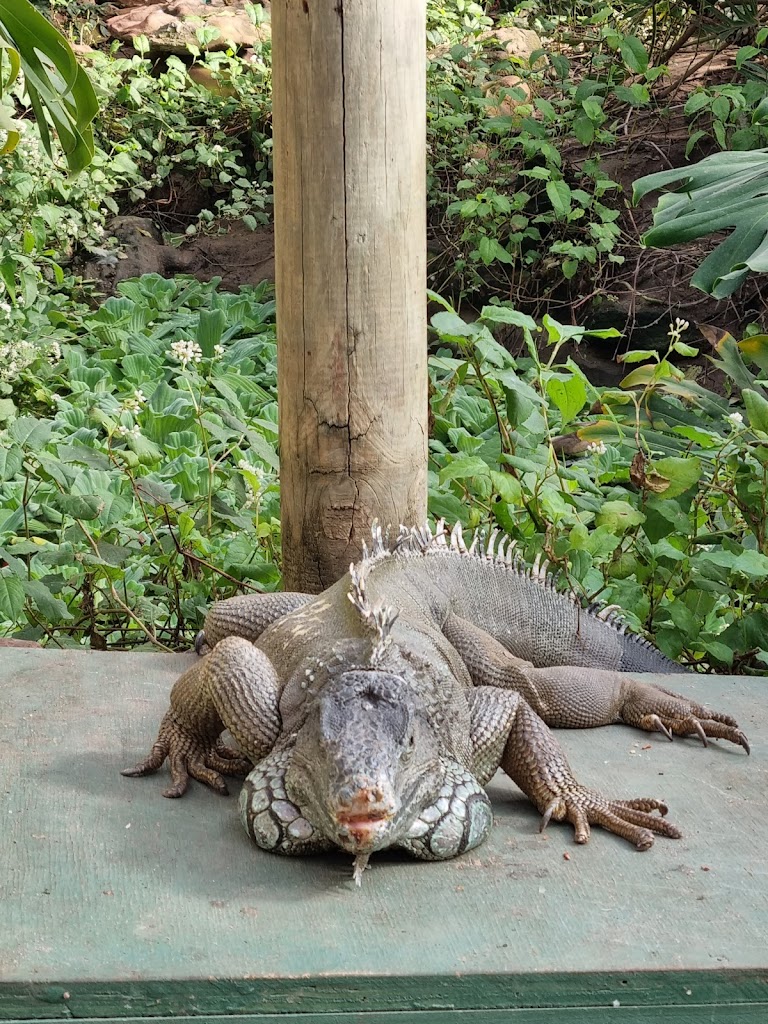 The Animal Sanctuary@ Butterfly World