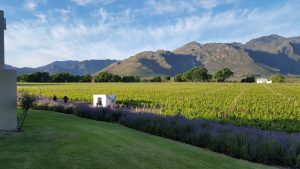 Akkerdal Wine Estate and Guest House