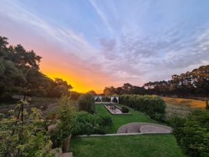 Langkloof Roses