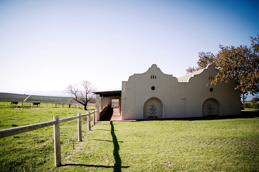 Pulpit Rock Wine