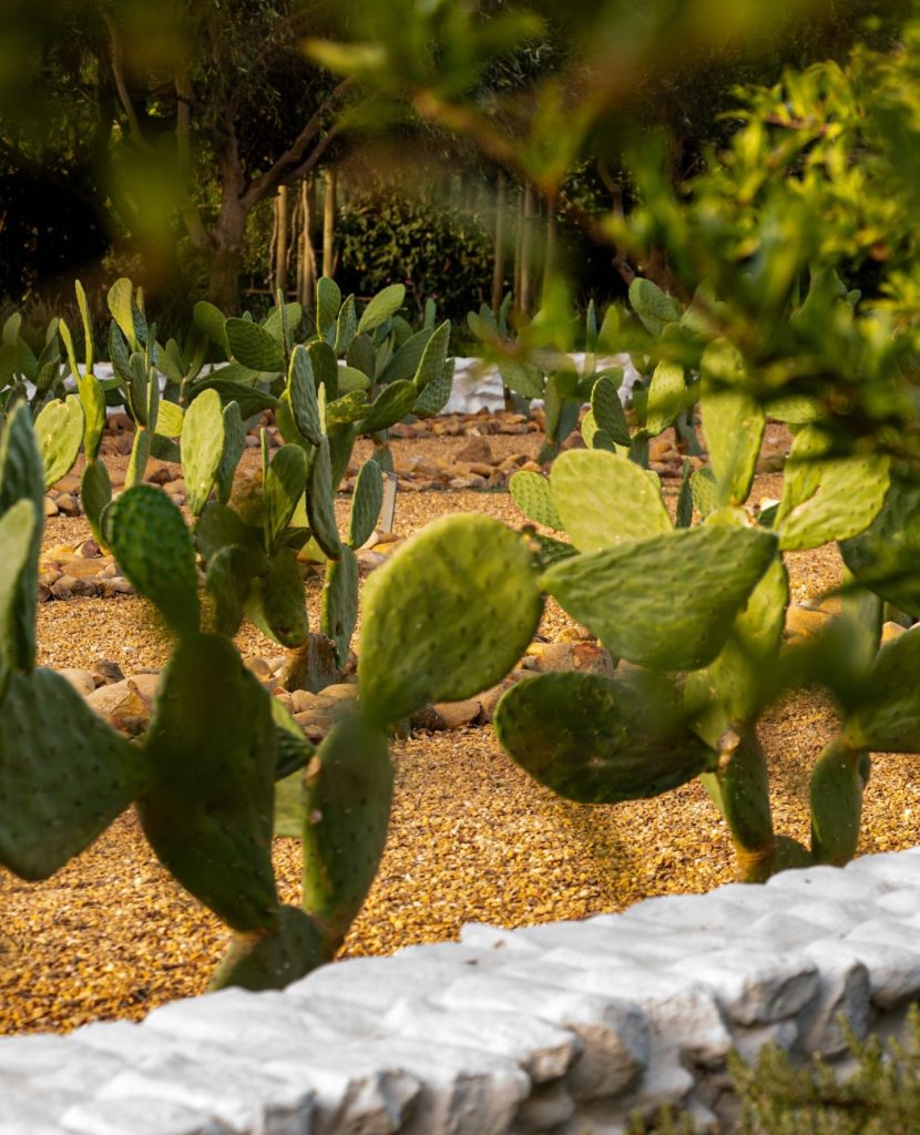 Babylonstoren