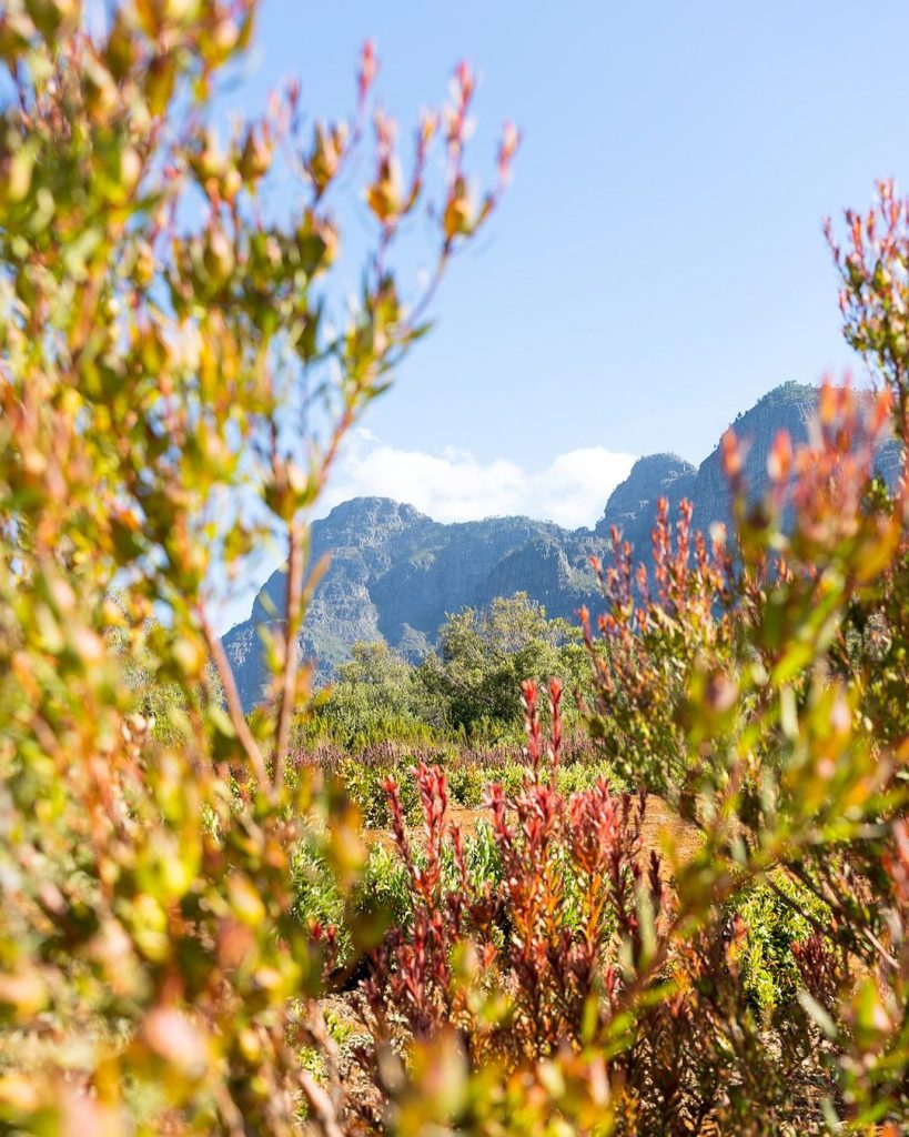 Babylonstoren