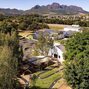 Blaauwklippen Vineyards