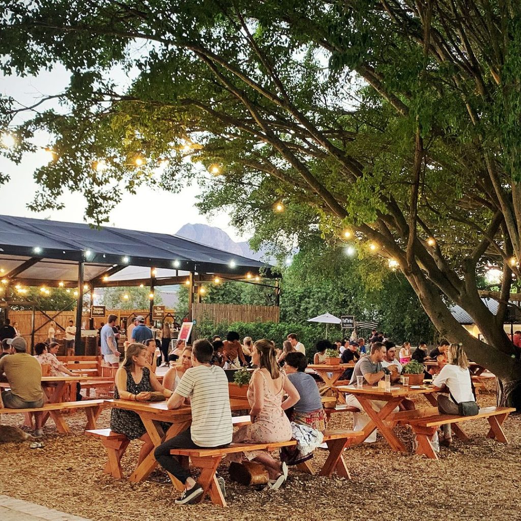 Blaauwklippen Vineyards