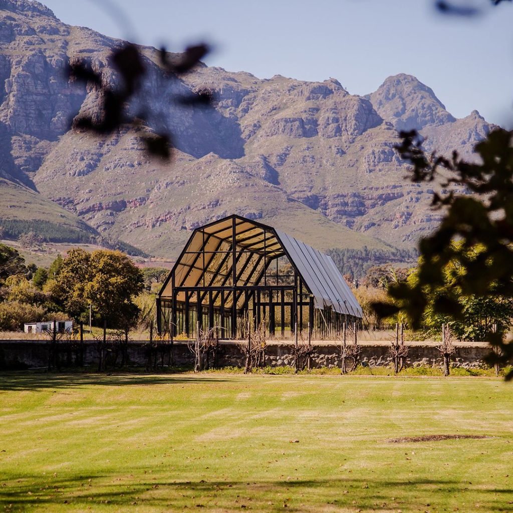 Blaauwklippen Vineyards
