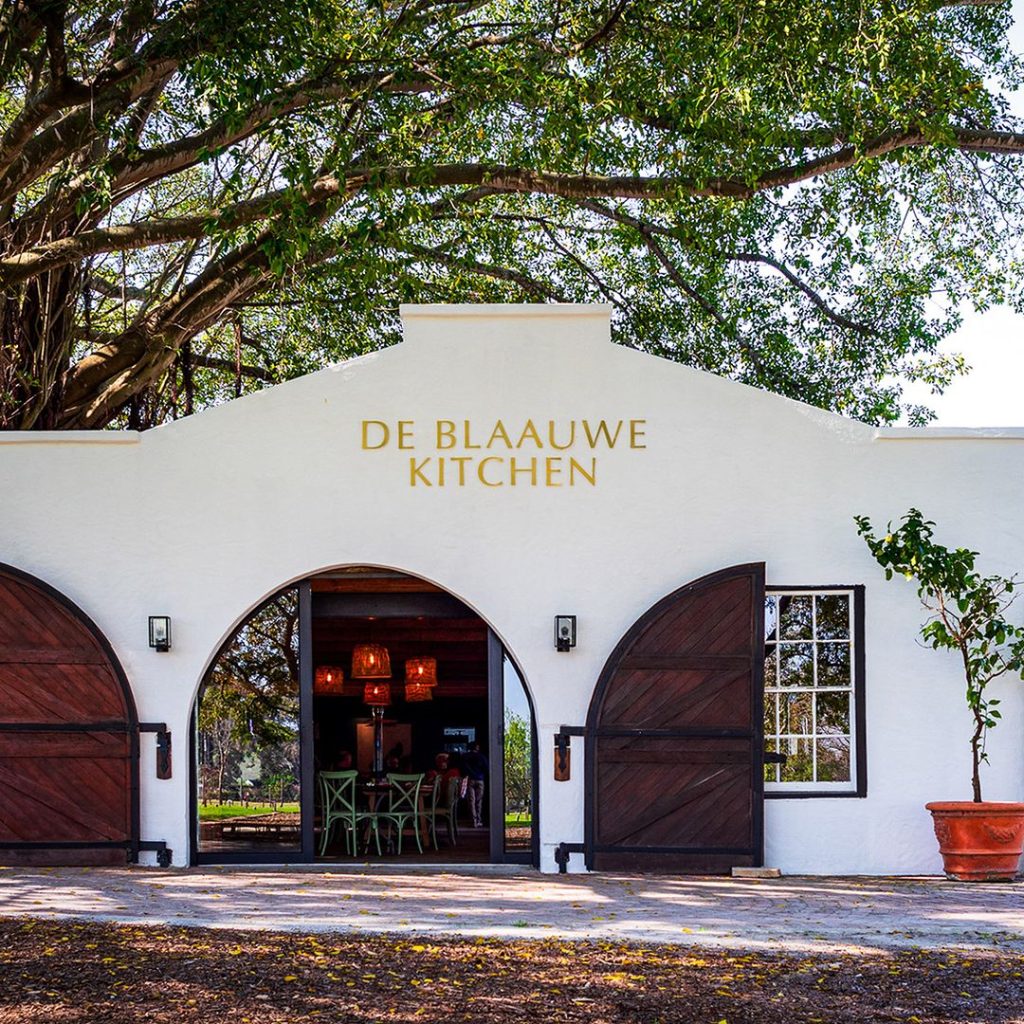 Blaauwklippen Vineyards