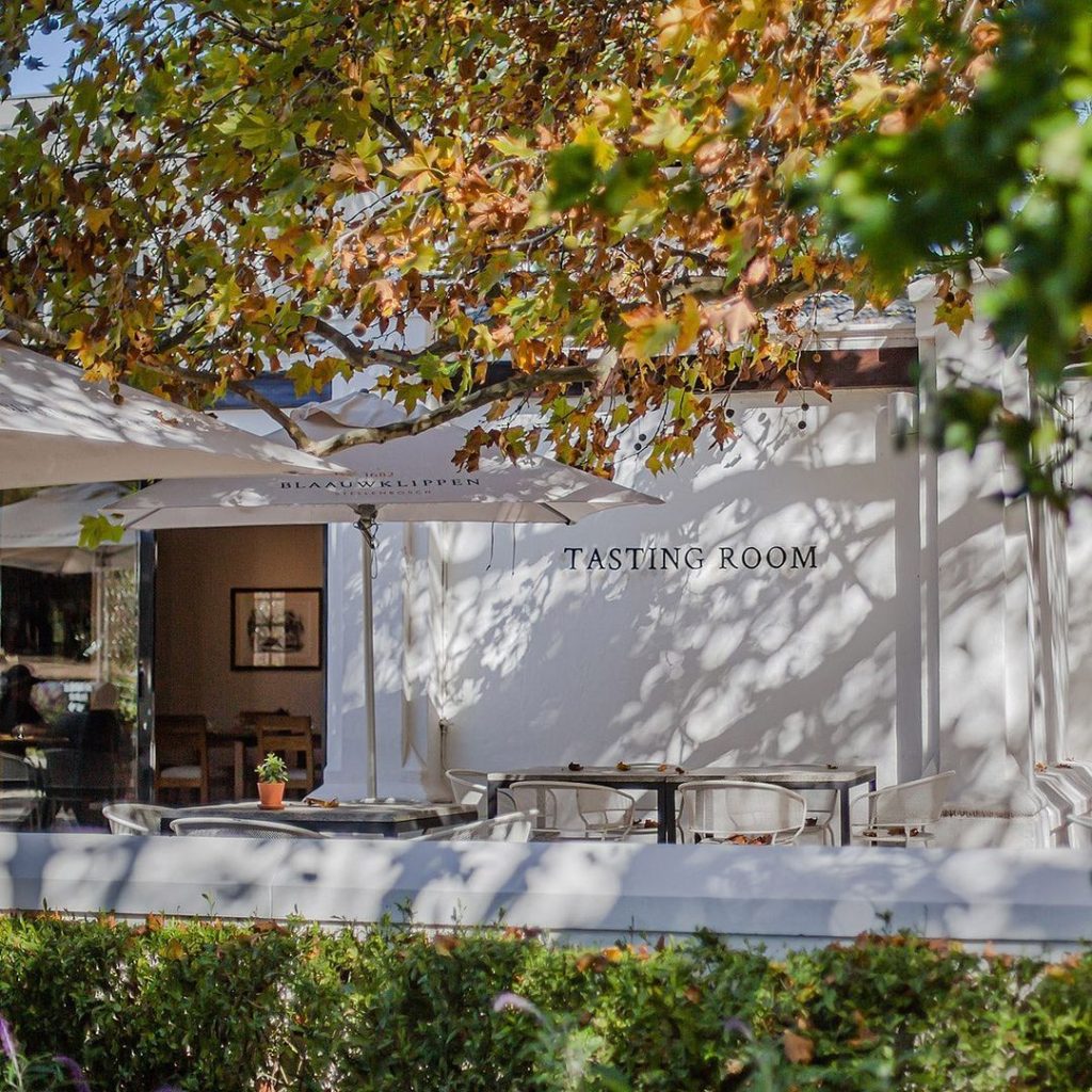Blaauwklippen Vineyards