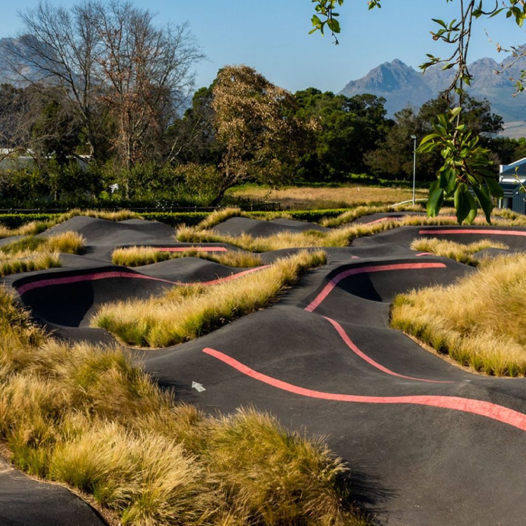 Blaauwklippen Vineyards