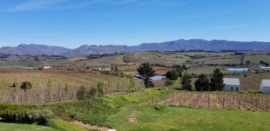 Charles Fox Cap Classique Wine Estate