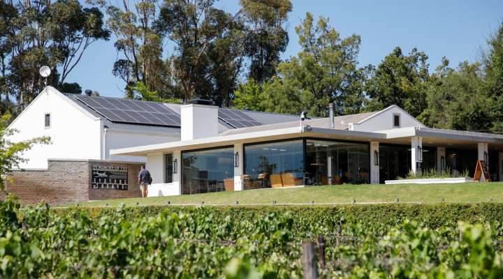 Stettyn Family Vineyards