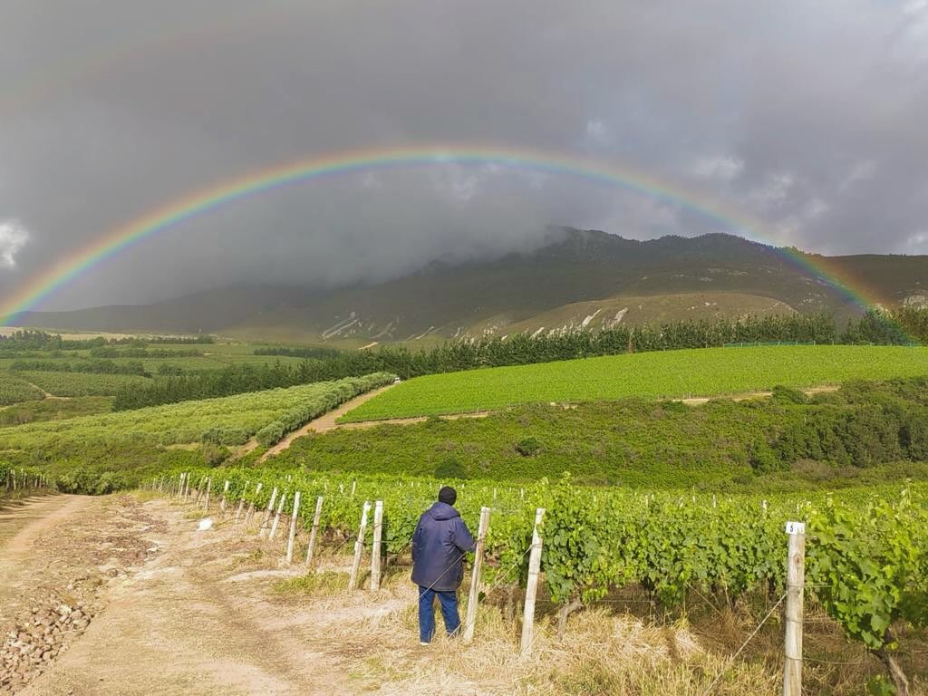 Domaine des Dieux