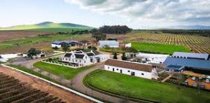 Groot Phesantekraal Wines & Restaurant