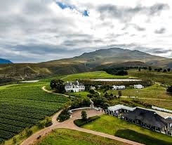 Bouchard Finlayson Winery