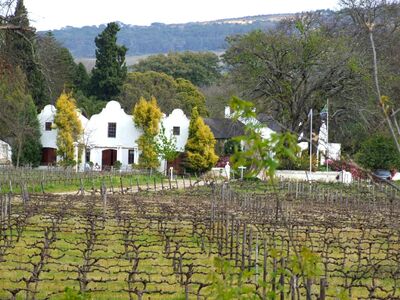 Klein Parys Vineyards