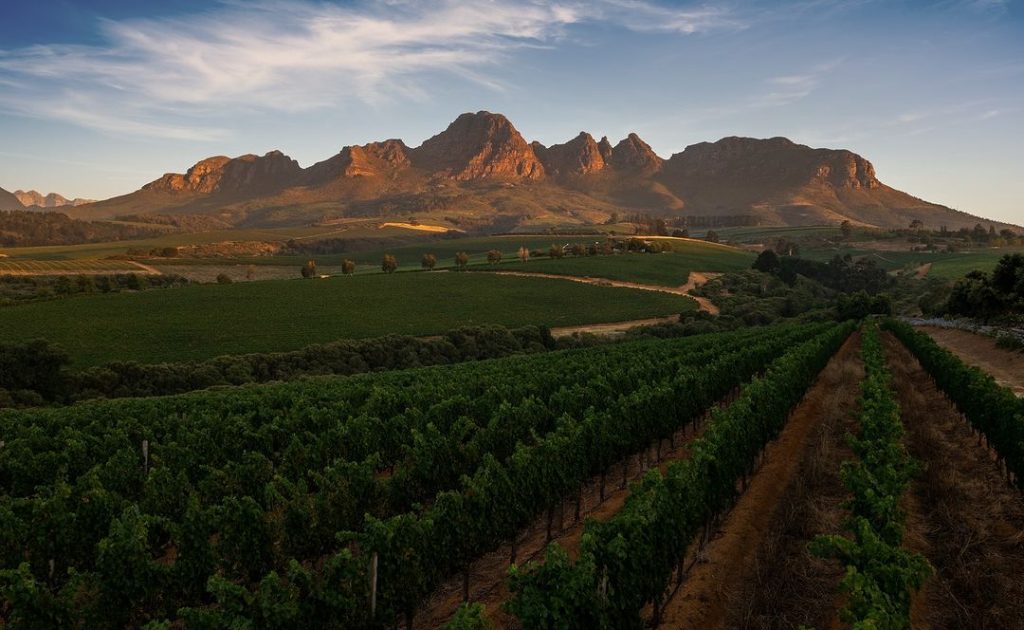 Ernie Els Wines