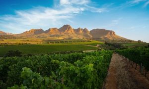 Ernie Els Wines